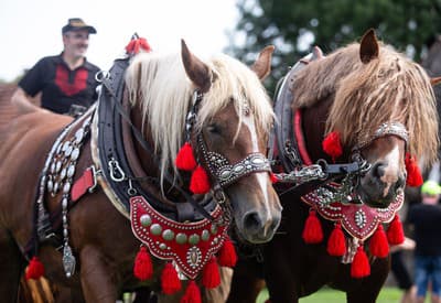 Aké pekné náhrdelníky máme!