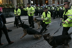 Zúrivé policajné psy