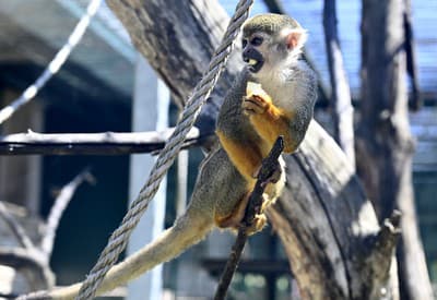 Nedeľná pohodička