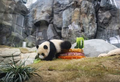 Ahojte, už mám jeden rok!