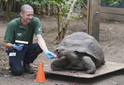 Pekný dník želám!
