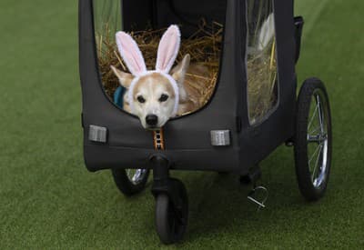 Kto sa teší na nový deň?