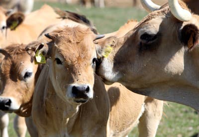 Počuj, musím ti niečo povedať!