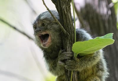 Denná dávka šťastia