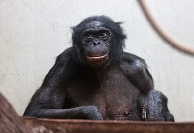 Krásny začiatok týždňa!