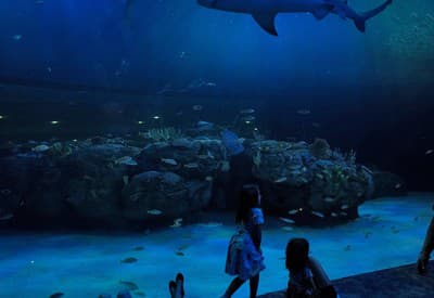 Dobré ráno z akvária!