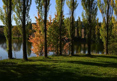 Čas na prechádzku!