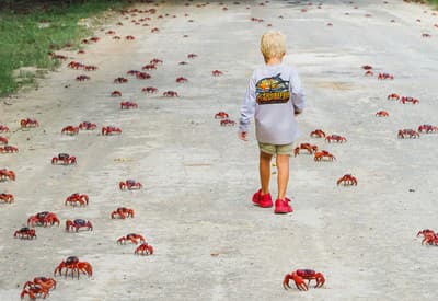 Čo tak sa ísť prejsť?