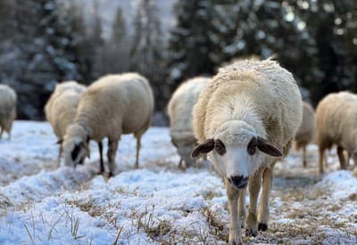 Máš tam niečo dobré?