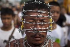 Originálny vegetarián