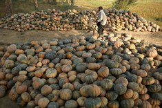 Príprava na Halloween?