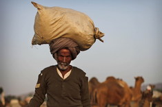 Lepšie ako igelitka