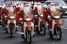 Santovia na bicykloch