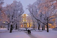 Zimný palác