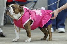 Princezná bojovníčka