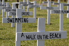 Pochované zážitky