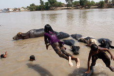 Pakistanske kúpanie