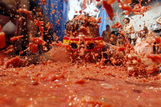 Tomatina