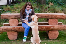 Najlepší priateľ človeka