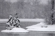 Zasnežená tvár Sandy