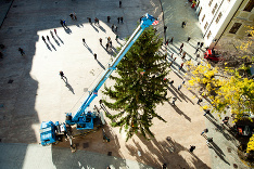 Vianočný stromček