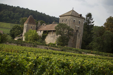 Gevrey-Chambertin