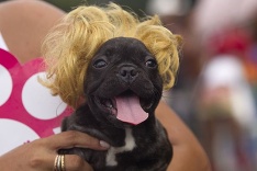 Netradičný karneval