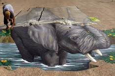 Holandský umelec Remko Van Schaik