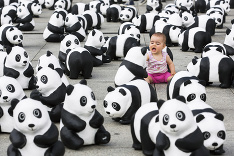 Dievčatko medzi pandami