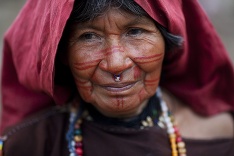 Život v Amazonskom pralese