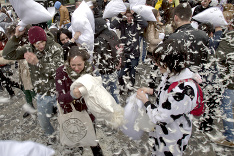 Svetový deň vankúšovej bitky