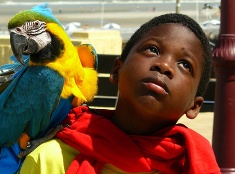 Chlapec s papagájom