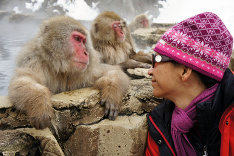 Snežný makak v Japonsku
