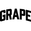 Grape festival 2026