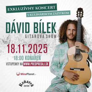 Dávid Bílek – exkluzívny koncert s kulinárskym zážitkom