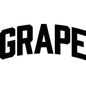 Grape festival 2026
