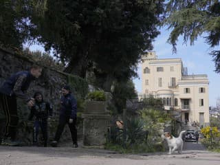 Talianske múzeá ponúkajú stráženie pre psov zadarmo, chcú tak zvýšiť návštevnosť