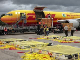 Najzvláštnejšie zásielky roka: Kuriéri prepravili živé zvieratá aj helmu s aktuálnym podpisom Schumachera