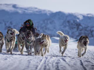 Elitná jednotka Grónska: Šesť psích záprahov chráni územie veľké ako Francúzsko a Španielsko dokopy