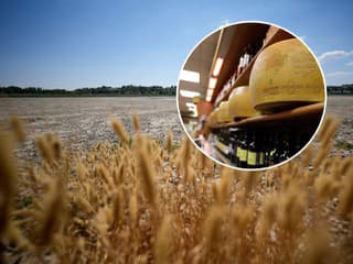 Parmezán v ohrození: Extrémne teploty ovplyvňujú výrobu tradičného talianskeho syra