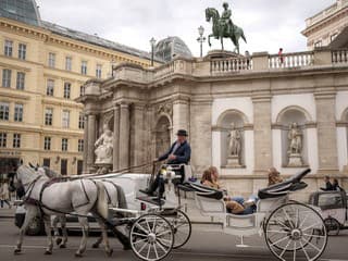 Turistická atrakcia plná utrpenia: Zmiznú konské povozy z európskych miest?