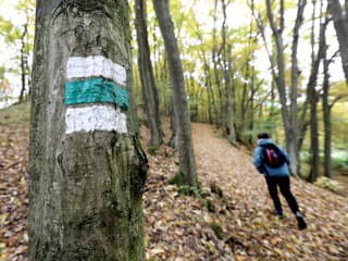Na Slovensku máme tisíce turistických trás, stará sa o ne 350 značkárov