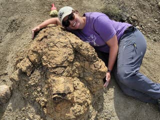 Vedci objavili stopy dospelého T-rexa, odhaľujú tajomstvá najväčšieho predátora histórie