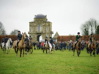 Koniec kontroverzného lovu: Británia pripravuje revolučné zmeny v ochrane zvierat