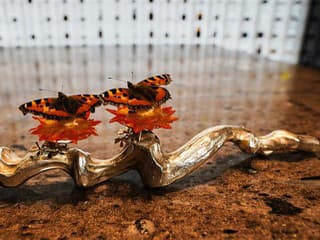 Dánsko zvažuje, či gastronómiu oficiálne uznať ako formu umenia