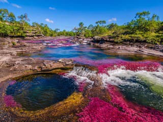 Najkrajšia rieka sveta má neuveriteľné farby: Za všetko môže unikátna rastlinka!