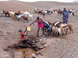 OBRAZOM: Suchá v Keni ohrozujú životy miliónov ľudí, najviac sa hlad podpísal na zvieratách