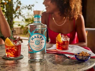 Dolce Vita vo vašom pohári: Talianska kultúra pitia a Malfy Gin na Slovensku