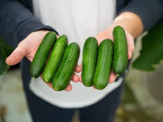 Hľadáte niečo šťavnaté bez zbytočných kalórií? Máme pre vás chutný tip