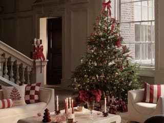 Najkrajšie vianočné stromčeky podľa interiérových dizajnérov: Ktorý štýl sa hodí k vášmu bývaniu?